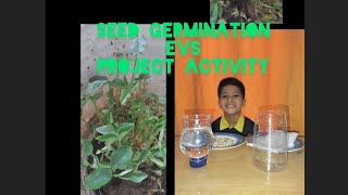 SEED GERMINATIONEVS PROJECT ACTIVITY [upl. by Karia770]