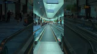 Changi airport fun changiairport travel viralvideo viralshort tour love airport singapore [upl. by Dachia179]