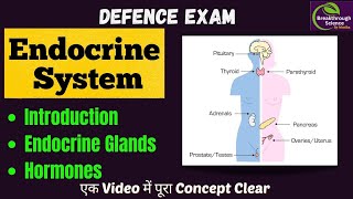 Endocrine System  Endocrine Glands  Class 10 Hormones I CDS I CAPF I NDA EXAM I SCIENCE [upl. by Femi]