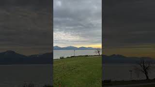 Scenic view with Original sounds original nature peace switzerland swisslake views video [upl. by Anaig]