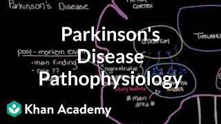 Putting it all together  Pathophysiology of Parkinsons disease  NCLEXRN  Khan Academy [upl. by Mata]