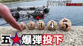 だん５爆弾投下で恐ろしくもドデ怪魚を捕獲する511話目 [upl. by Atrim]