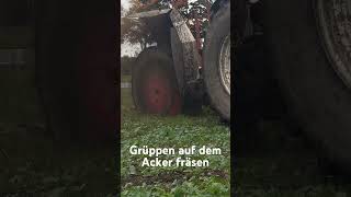 Grüppen vor dem Winter fräsen farming landwirtschaft automobile agriculture machine tractor [upl. by Saunder]