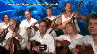 Earth Song Michael Jackson Mandolin Orchestra Zupforchester Cover [upl. by Ylhsa]