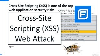 CrossSite Scripting XSS Web Attack Demo for AppSec [upl. by Tristam982]