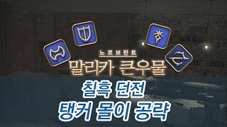 파판14 칠흑 던전 탱커 몰이 공략  말리카 큰우물 Malikahs Well [upl. by Yekcir]