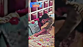 cute couple Tag your Love  couple status  wishoflove4 shorts couple shortvideo viralvideo [upl. by Alig]