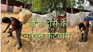 Aaj Sabhi Horse Ke Nakhun Kattvaye [upl. by Attener]