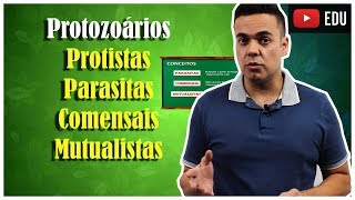 Protozoários 1 Parasitas Comensais e Mutualistas [upl. by Lotsirb]