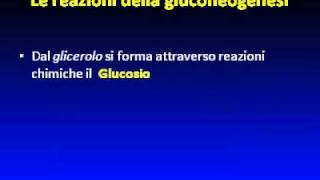 La dieta chetogena proteica del Dr Mario Mauriello [upl. by Lomaj]