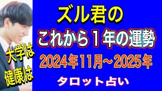 【タロット占い】 ズル君の‼️受験⁉️健康⁉️2024年11月〜2025年の運勢占い‼️ [upl. by Renita]