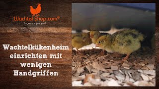 Wachtelkükenheim mit wenigen Handgriffen richtig einrichten  WachtelShopcom [upl. by Efal]