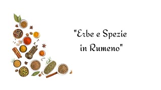 Impara i Condimenti in Rumeno in 1 Minuto [upl. by Ellerred369]