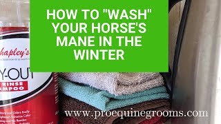 How to quotwashquot your horses mane in the winter [upl. by Haldis]