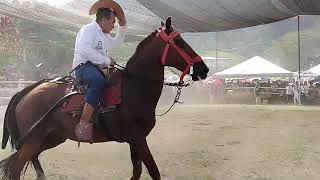 Cabalgata Feria Ganadera Provincial Zamora 2024 [upl. by Atsirc]