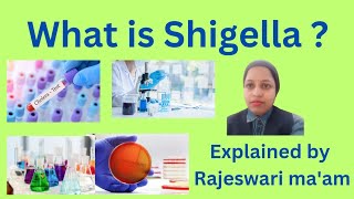 what is Shigella [upl. by Bernadina]