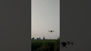 Drone Crop Dusting [upl. by Alamak790]