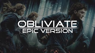 Obliviate Harry Potter  EPIC VERSION [upl. by Brietta566]