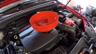 Ford Ranger Oil Change Mazda BT50 Ford Wildtrak 32 Ford Everest WARNING THIS MUST BE DONE FAST [upl. by Diarmuid]