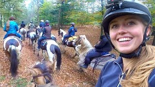 In westernstijl galopperen over de Veluwe met Paarden YouTubers  Vlog 71 [upl. by Dorman]