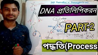 DNA replication process in prokaryotes in bengali  Part2  DNA প্রতিলিপিকরন class12 WBCHSE [upl. by Lizbeth]