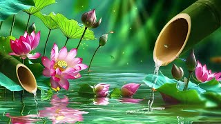 Healing Piano Music and Bamboo Water Fountain 🎶 Spa Meditation Relaxation for Mind and Body 💤 [upl. by Tterag42]