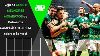 VERDÃƒO TRICAMPEÃƒO PAULISTA PALMEIRAS 2 X 0 SANTOS  MELHORES MOMENTOS  FINAL DO PAULISTÃƒO 2024 [upl. by Adnaram]