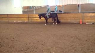 Hurtin For Certain 2007 AQHA HUSAllAround Gelding SOLD [upl. by Drofub]