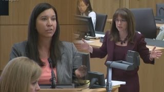 Testy Exchange Between Janeen DeMarte amp Jennifer Willmott on Whether Jodi Arias Was Abused [upl. by D'Arcy]