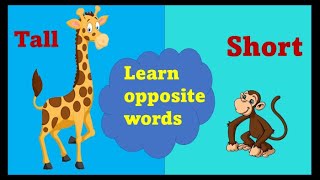 Opposites For Kids  Opposite words in English  preschool Learning  Antonyms  Opposite words [upl. by Rosenquist]