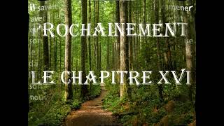 Chapitre XV quotLILIBOUTquot Histoire Fantastique Livre Audio [upl. by Gilpin]