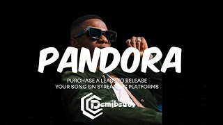 Afrobeat Type Beat  Wizkid  PANDORA [upl. by Airat]