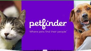 Petfinder is the largest online pet adoption site This time Petfinder launched the pet [upl. by Ylluz]