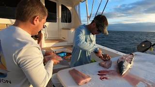 Red Lion Wahoo Fishing in Chub Cay Bahamas 2018  Phantom 4 Pro v20 [upl. by Noy]