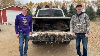 MINNESOTA 2 MAN DUCK LIMIT  BIG GREENHEADS [upl. by Olecram379]