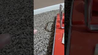 HOW TO USE A CARPET POWER STRETCHER [upl. by Behl]