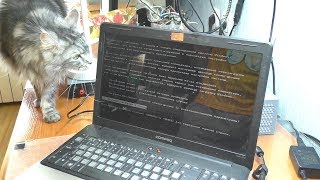 Не загружается Windows  Ноутбук HP Compaq Presario CQ61 [upl. by Craven479]