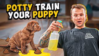 Puppy Training  How To Potty Train A PUPPY In 5 Minutes [upl. by Zuleika]