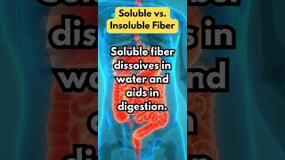 Soluble vs Insoluble Fiber [upl. by Grey282]