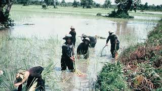 GENOCIDE EDUCATION IN CAMBODIA​ Song from Khmer Rouge Democratic Kampuchea [upl. by Amada]