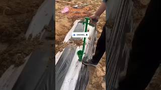 Best lowcost manual planting machine habibi transplanter agritechnology ytshorts shortsviral [upl. by Milda]