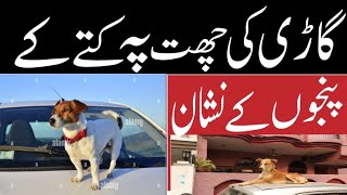 how to remove scorch your car roof and bonatgare chat par kutty KY panjho KY Nissan kasy khtam kar [upl. by Eileme]