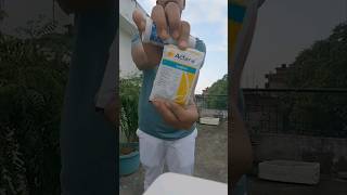 42actara tha best insecticide for plant [upl. by Ielak]