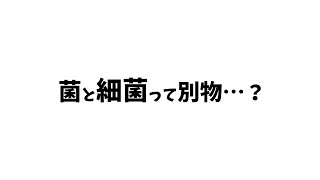 菌と細菌の違いを解説！【ゆっくり解説】 [upl. by Nosecyrb]