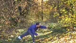 Qi Gong quotRespingere il DragoXiang Long Shiquot [upl. by Emlyn]