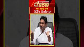 అసెంబ్లీ కి వెళ్లి నేనేం చేయాలి  YS Jagan on Assembly [upl. by Kyre]