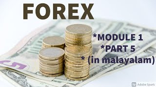 FOREX  MODULE 2  PART 5 FERA TO FEMA   BCOM  IN MALAYALAM [upl. by Iras]