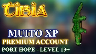 Tibia HUNT LOW LEVEL ALTERNATIVA DE CROCODILO EM PORT HOPE  XP  Level 13  Premium Account [upl. by Sheela112]