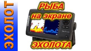 как эхолот Lowrance показывает рыбу [upl. by Laing985]