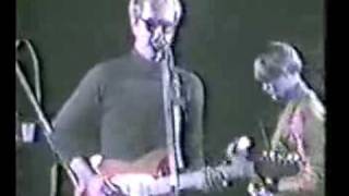 go betweens cattle amp cane live [upl. by Culley]